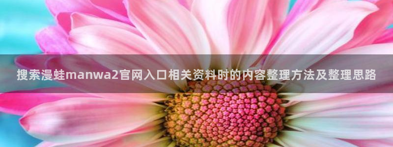 漫画下载:搜索漫蛙manwa2官网入口相关资料时的内容整理方法及整理思路