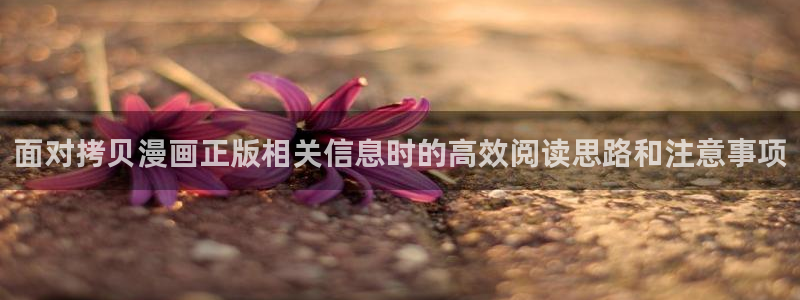 国漫在线阅读:面对拷贝漫画正版相关信息时的高效阅读思路和注意事项